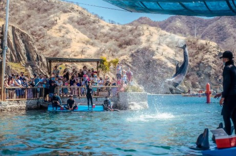 WhatsApp Image 2025-05-15 at 1.52.31 PM