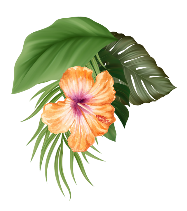 Invitación Horizontal Cumpleaños Tropical Ilustrado Multicolor Negro (Post de Instagram (45)) (5) (1)