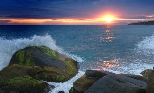 WhatsApp Image 2025-07-30 at 8.15.52 AM