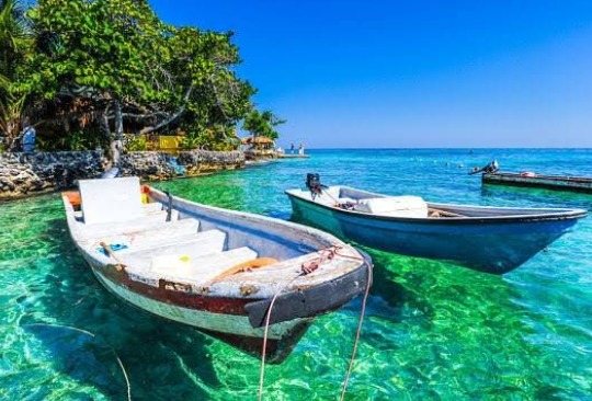 WhatsApp Image 2025-08-04 at 10.03.52 AM