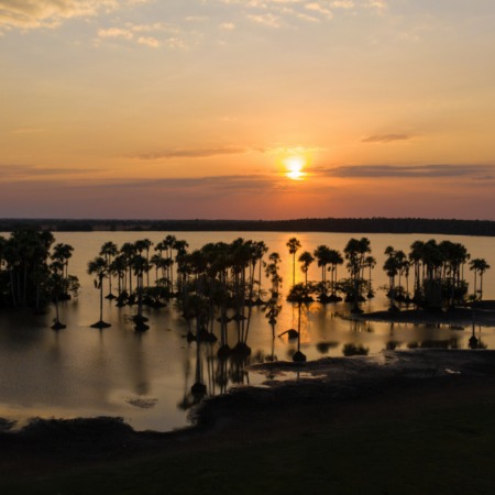 WhatsApp Image 2025-09-02 at 1.26.45 PM