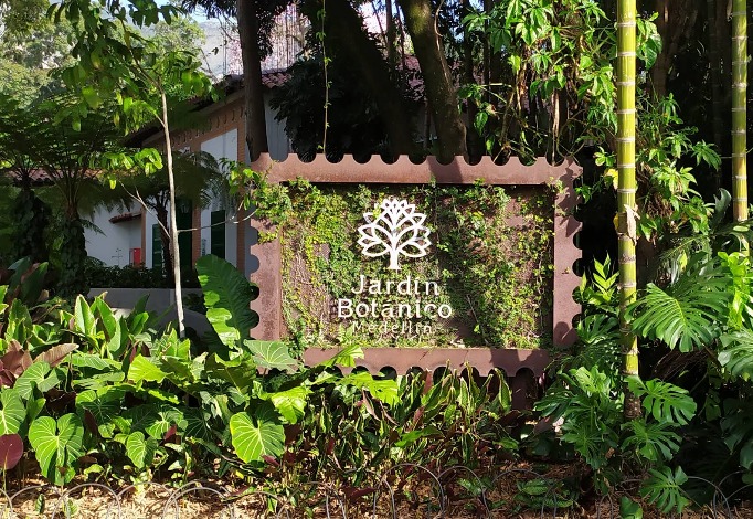 WhatsApp Image 2025-09-05 at 2.22.31 PM