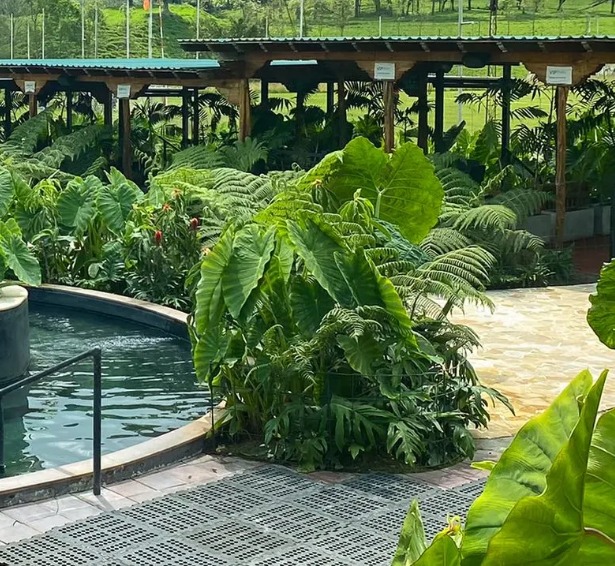 WhatsApp Image 2025-09-29 at 4.05.26 PM