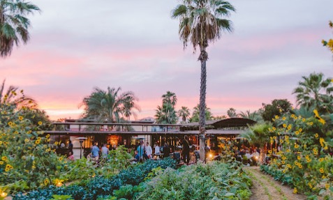 WhatsApp Image 2025-12-01 at 4.39.50 PM