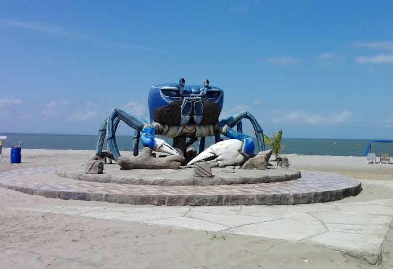 WhatsApp Image 2025-12-01 at 8.52.31 AM