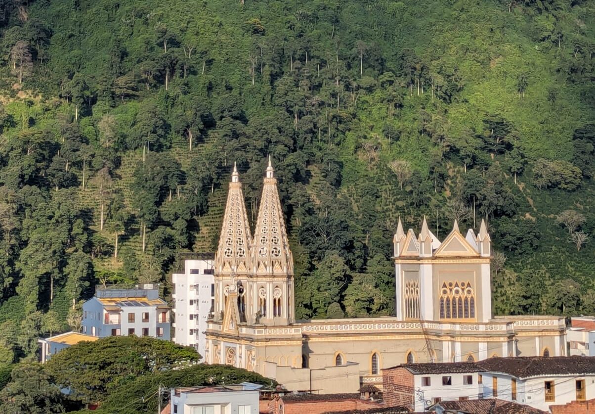 WhatsApp Image 2025-12-22 at 4.00.21 PM (1)