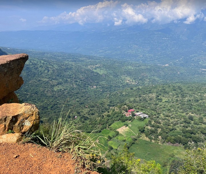 WhatsApp Image 2026-01-27 at 12.14.50 PM