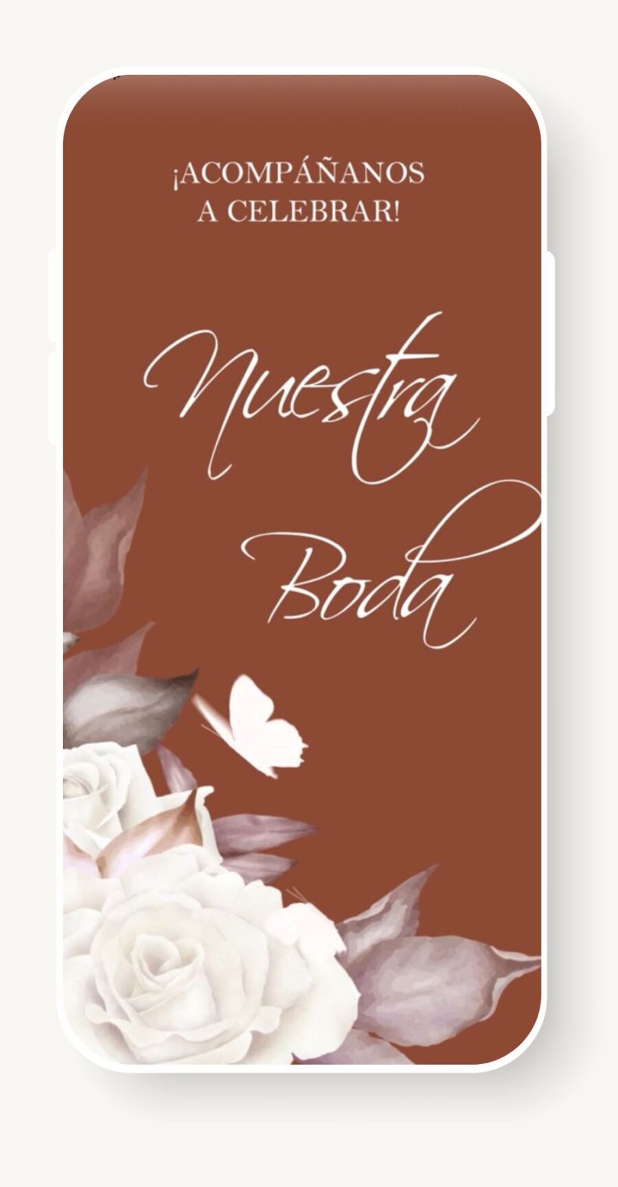 V0024 Café Terracota con flores blancas y mariposas