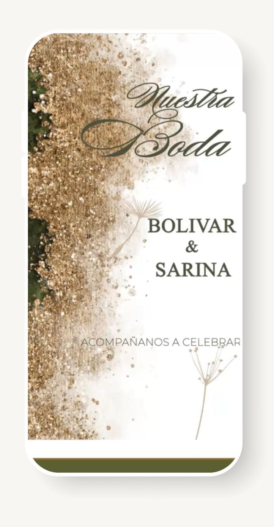 V0017B Verde con Dorado y Blanco