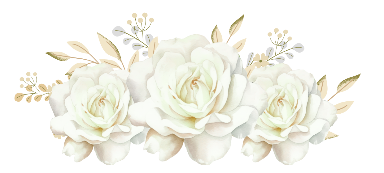 rosas-blancas-v0029.png