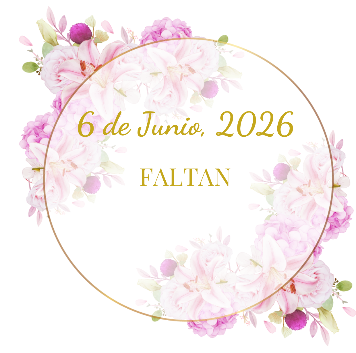 Invitación 15 rapunzel - 2026-04-30T094829.825