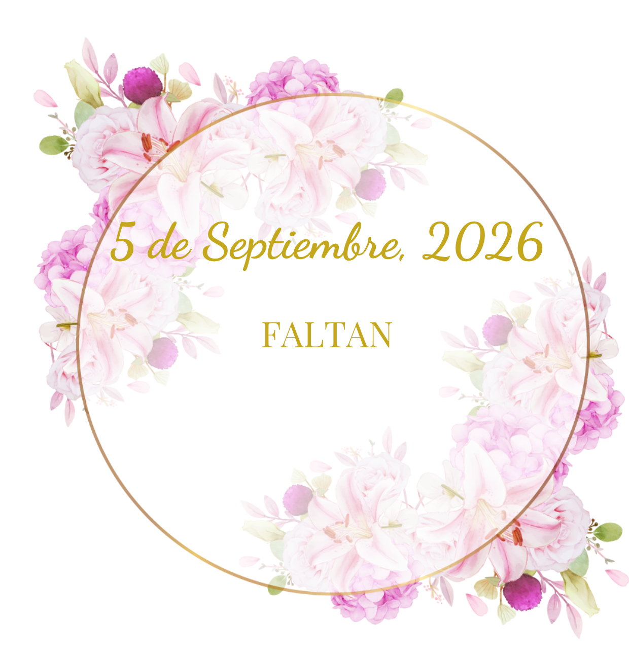 Invitación 15 rapunzel - 2026-08-05T113946.466